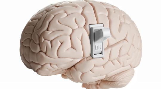مفتاح-الدماغ