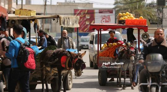 صورة ارشيفيه لباعة الخضار في الشوارع