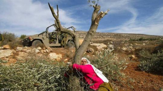 سيدة فلسطينية تتمسك بأرضه