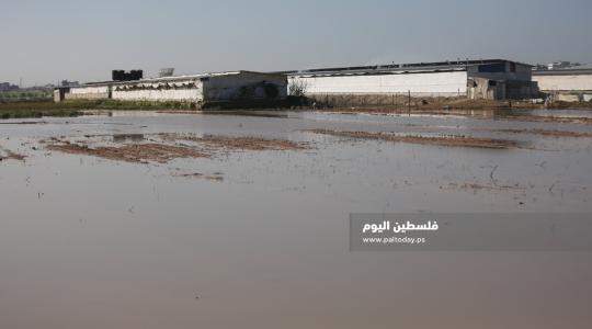 فتح سدود مياه الأمطار على أراضي المواطنين شرق حي الشجاعية (19).JPG