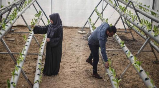 مزراعان في غزة (ارشيف)