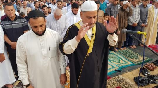 احمد المدلل