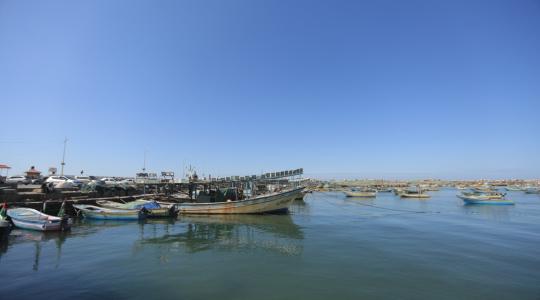 بحر غزة (17).JPG