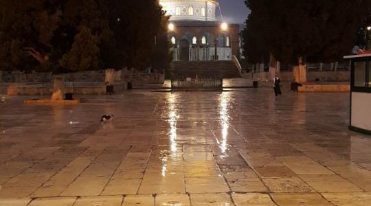 المسجد الاقصى ستوري