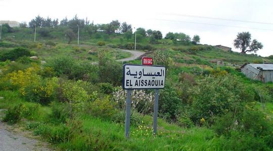 العيساوية 