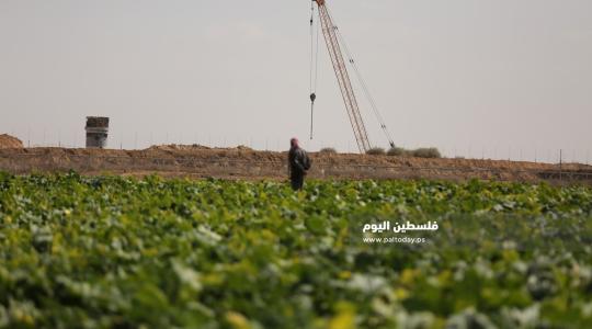 مزارعين على حدود غزة (5).JPG