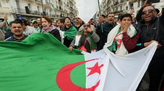 احتفالات في الجزائر
