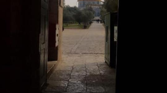 باحات المسجد الاقصى