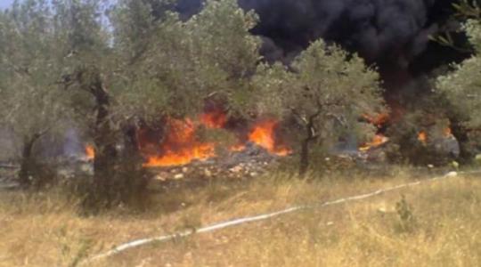اندلاع حريق في أحراش المجلس الإقليمي بـ"غلاف غزة"