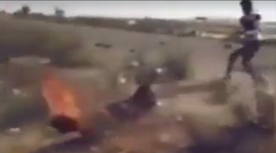 حرق داعشي في سيناء حياً