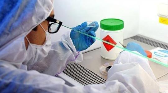 لقاح يقي من شلل الأطفال