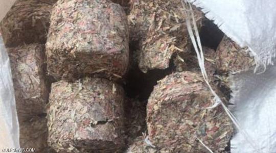 أثاث يحتوي على عملات ورقية