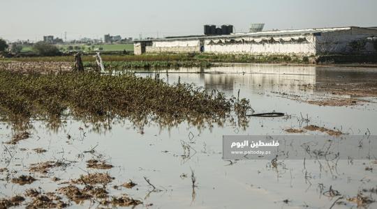 فتح سدود مياه الأمطار على أراضي المواطنين شرق حي الشجاعية (23).JPG