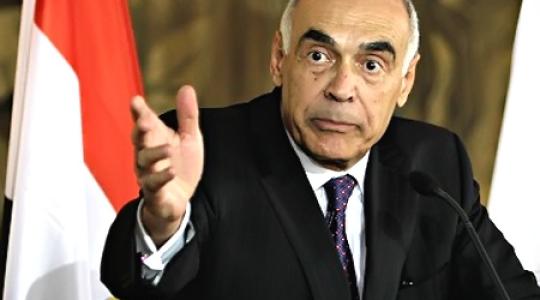 وزير الخارجية المصري محمد عمرو