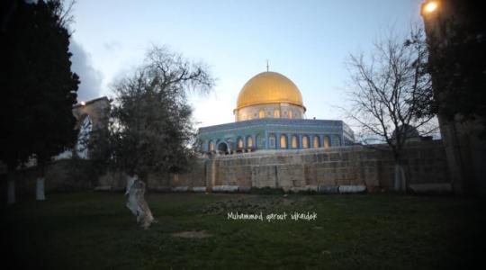 باحات المسجد الاقصى