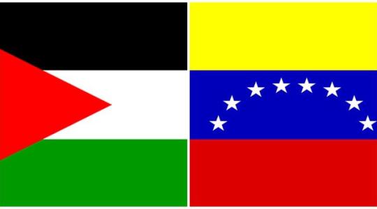 فانزويلا وفلسطين
