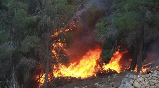 حرائق تلتهم أراضي المواطنين بسبب ارتفاع الحرارة