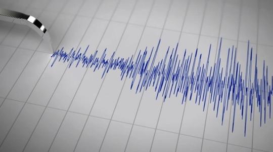 زلزال قوي يضرب نيوزيلندا كاد أن يتسبب بحدوث تسونامي