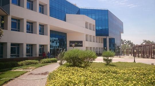 اتصالات مصر