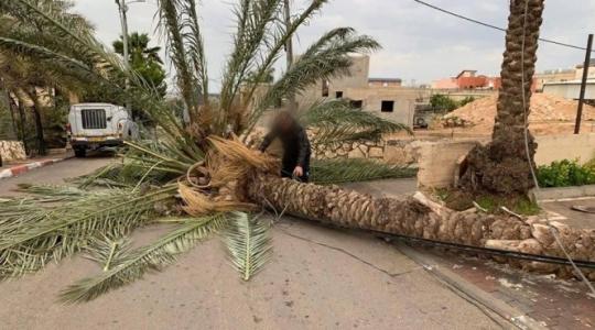 جانب من الاضرار