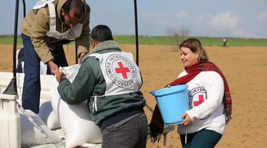 موظفو الصليب الأحمر على الحدود الشرقية لقطاع غزة
