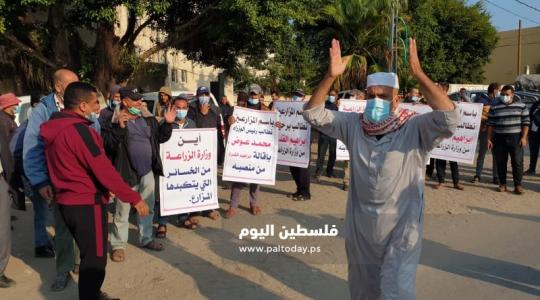 اعتصام للمزارعين في غزة (2)