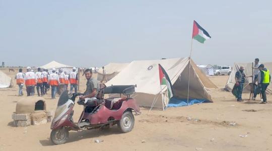فادي ابو صلاح