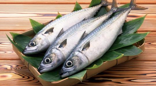 إليك فوائد تناول السمك والماكولات البحرية لصحة الانسان والقلب والسكري والبشرة