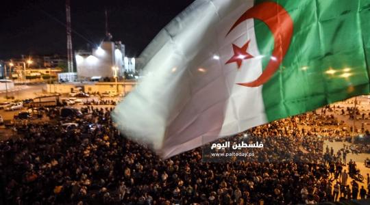 فوز منتخب الجزائر بلقب كأس أمم افريقيا 2019