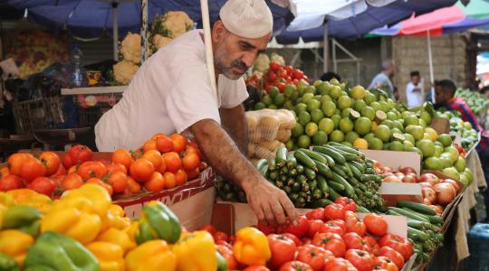 أسعار الخضروات والدواجن واللحوم الحمراء في أسواق غزة اليوم الخميس