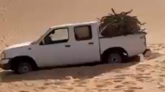 السعودي المفقود في السعودية