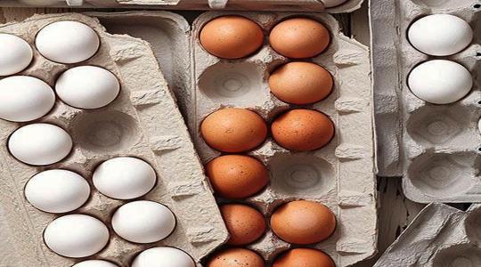 البيض الابيض والبيض البني