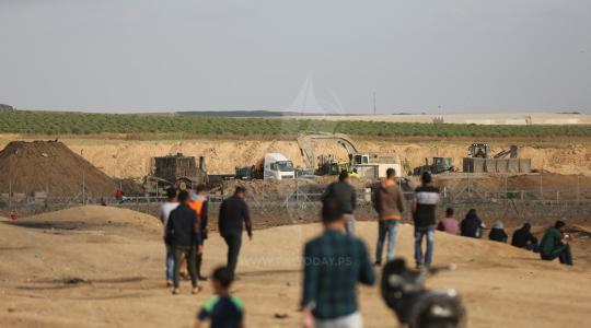 ارشيفية