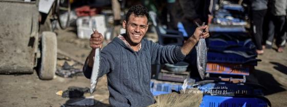 وفرة الأسماك بعد المنخفض تهوي بأسعارها في غزة