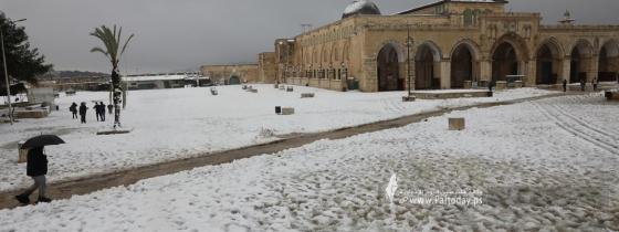 بالصور:القدس - الثلوج تكسو باحات المسجد الأقصى المبارك