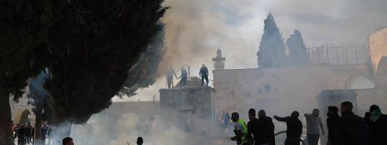 بالصور: القدس - احتراق احدى أشجار المسجد الأقصى بعد اطلاق قوات الاحتلال القنابل الغازية داخل باحات الاقصى