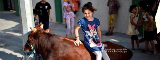 فرحة الأطفال مع الأضاحي عشية عيد الأضحى المبارك في خانيونس جنوب قطاع غزة.