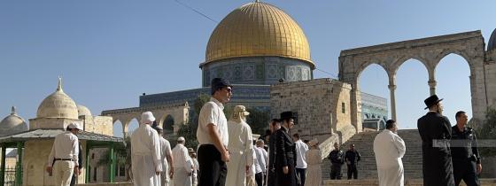 بالصور :القدس - عشرات المستوطنين يقتحمون باحات المسجد الأقصى بحراسة مشددة من قبل شرطة الاحتلال