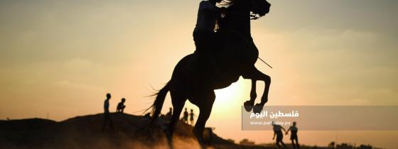 سباق للخيول على انقاض مطارغزة الدولي فى مدينة رفح 