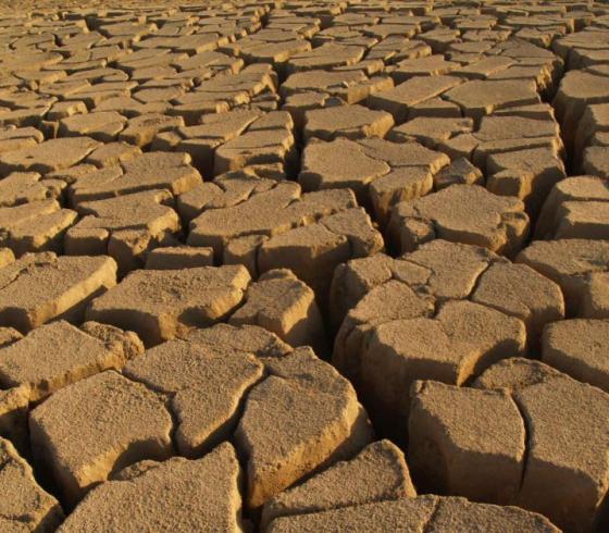 علماء: الجفاف في الشرق الأوسط سيستمر 10 آلاف عام