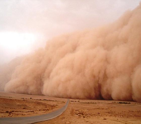 84dust-storm-mohammed