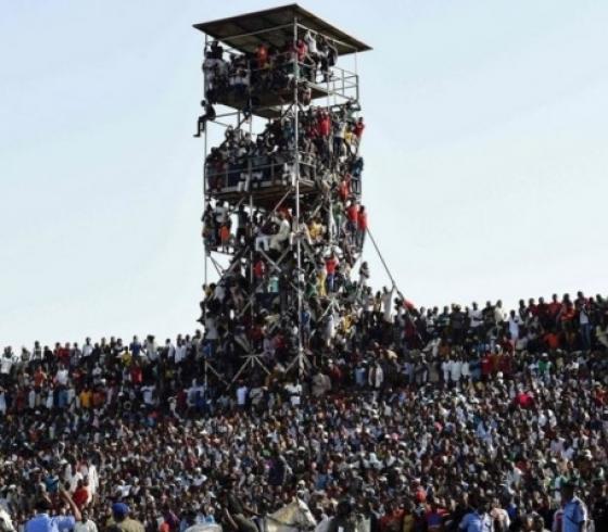 ملاعب