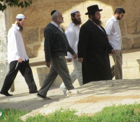 اقتحام المسجد الأقصى