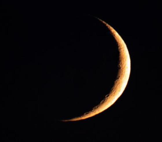 صورة توضيحية