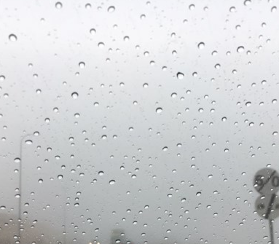 شتاء