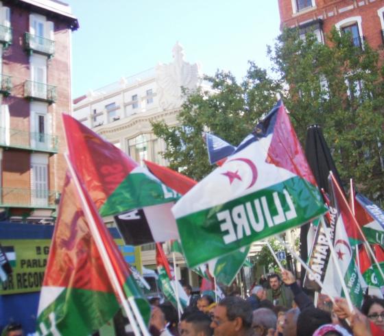 المغرب