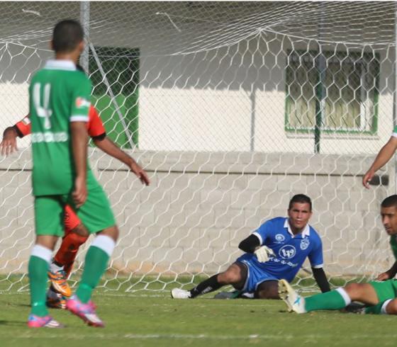 اتحاد الشجاعية