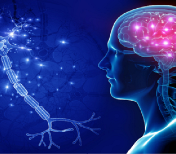 دماغ
