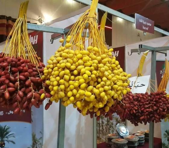 معرض البلح