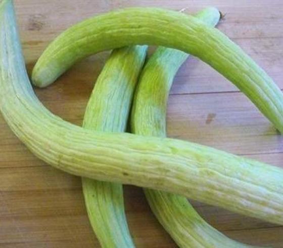 فقوس